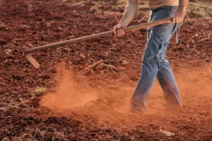 A person wearing blue jeans is tilling reddish-brown soil with a hoe, raising a cloud of dust. Only the person’s lower body and arm are visible. The background shows dry, bare earth.