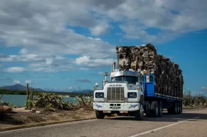 A large white Mack truck hauls a trailer loaded with dried sugarcane on a rural road beside a body of water, with cactus plants and mountains visible in the background under a partly cloudy sky.