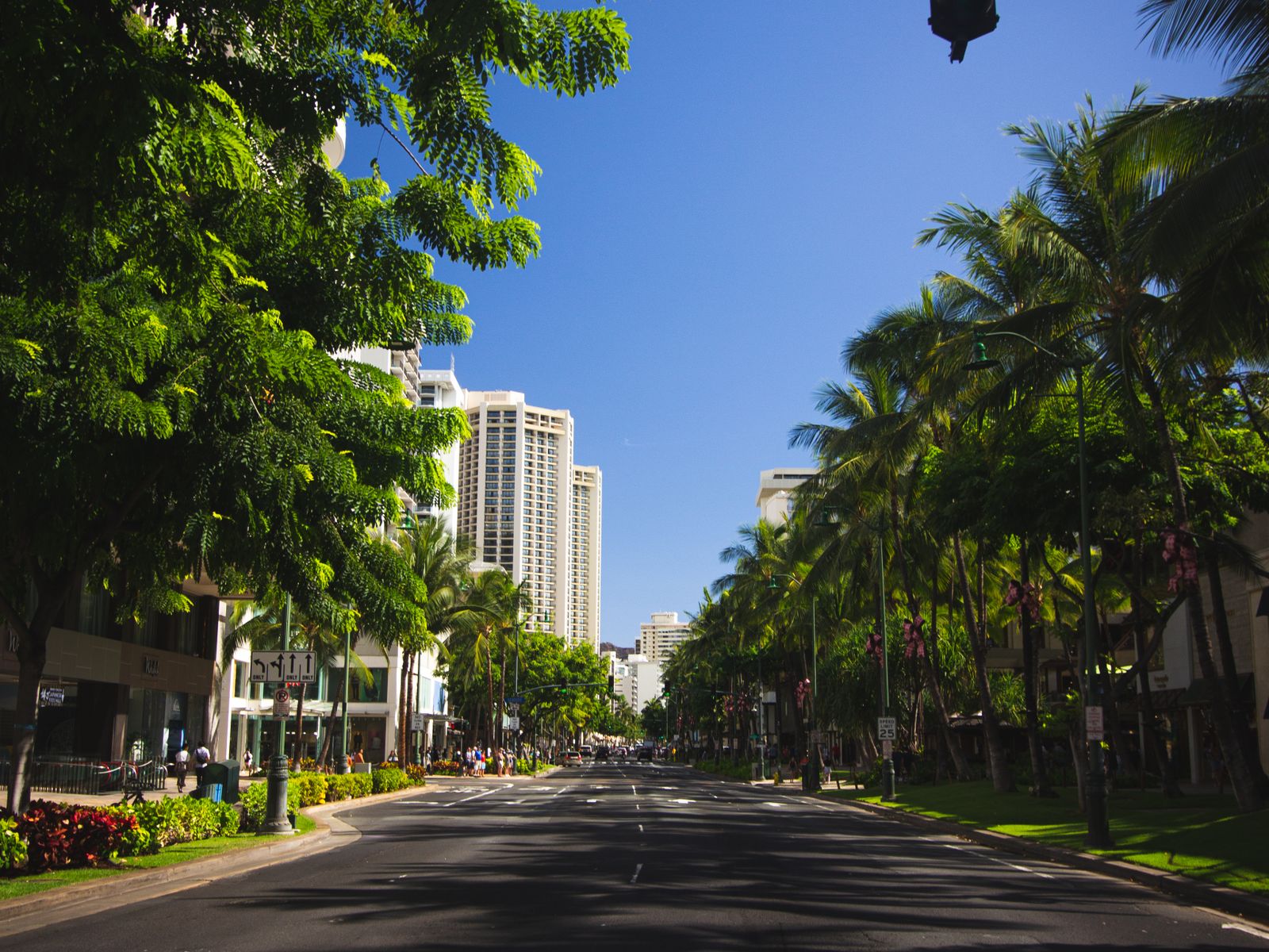 Downtown honolulu street with palm trees - hawaii business financing