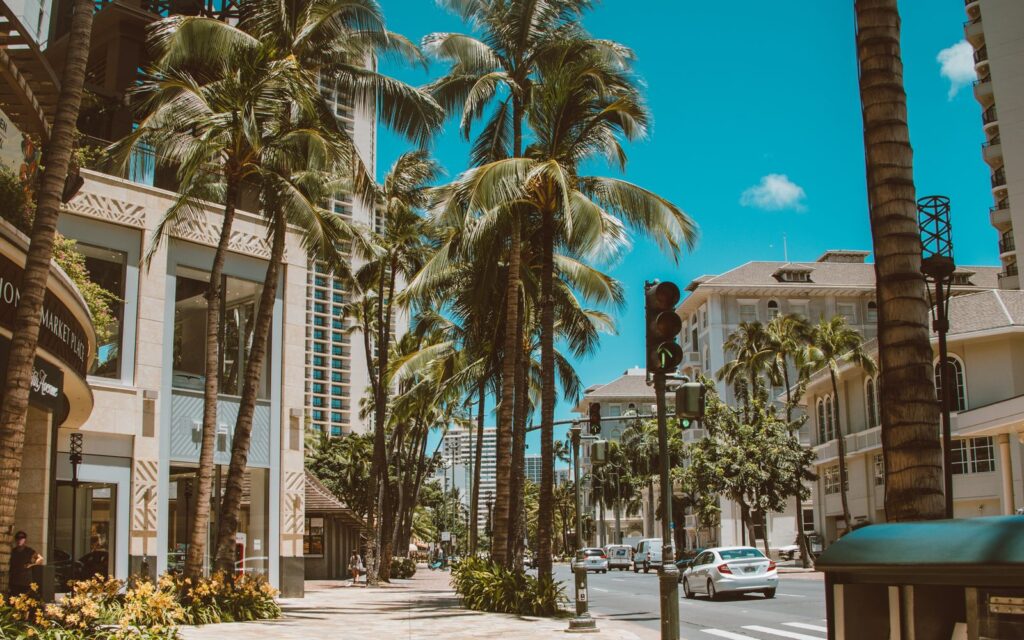 Alternative Business Loan In Hawaii 6 Palm-lined street in hawaii - liberty capital hawaii business loans